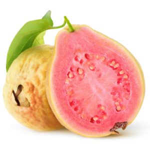 STAR FRESH GUAVA